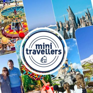 Mini Travellers Download Store